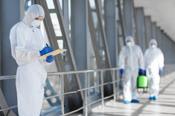 Best Dehumidification Services  in Holtsville, NY