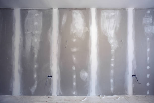 Best Mold Remediation for Vacation Homes  in Holtsville, NY
